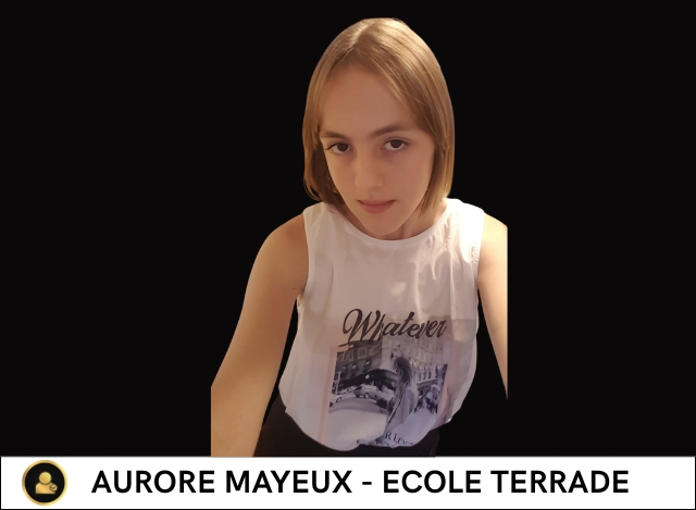 Ajouter un sous-titre (8)